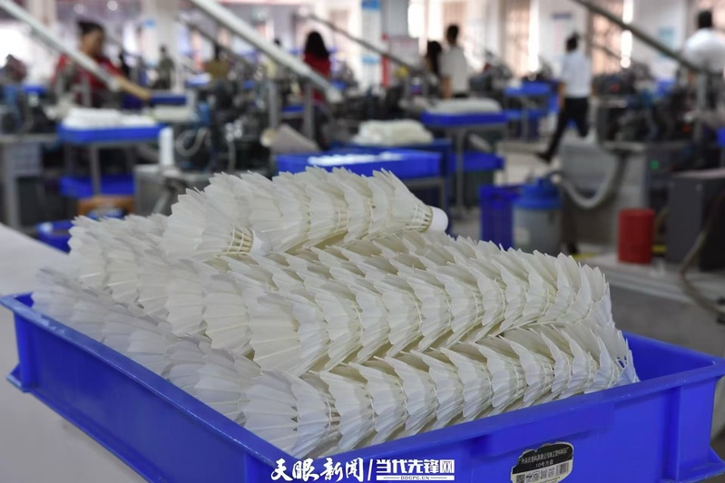 1733047974356748.jpeg 1羽毛球WechatIMG44.jpeg