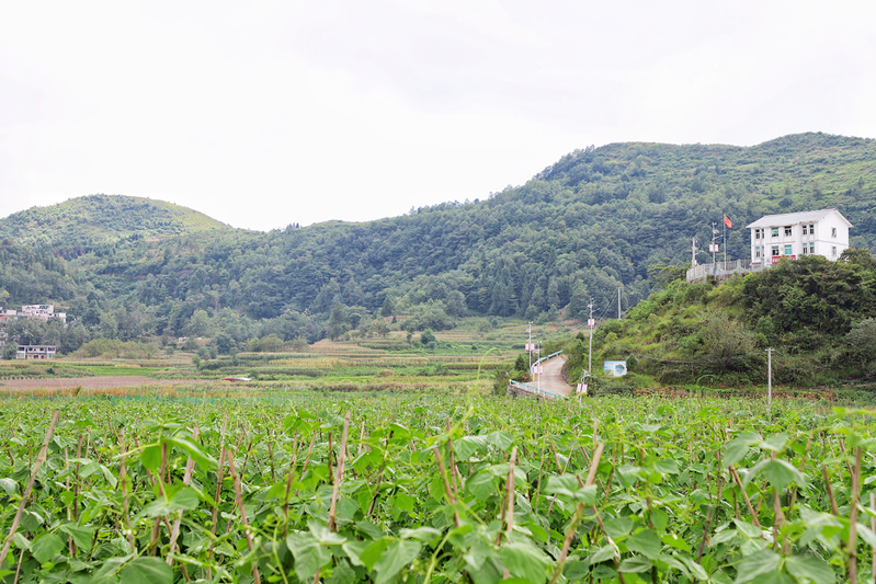 关岭自治县沙营镇前进坝区-FZ1002232134.jpg