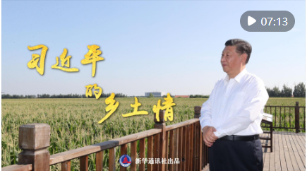 截图20241218121237