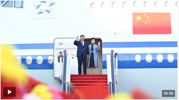 QQ截图20241219085941