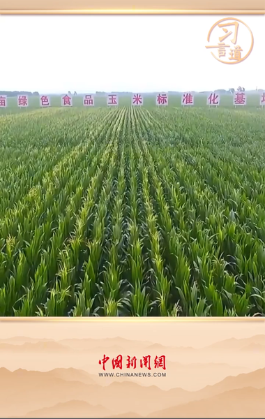 QQ截图20241219162833