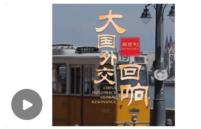 微信截图_20241226132641