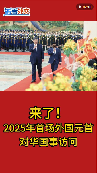 QQ截图20250116095808