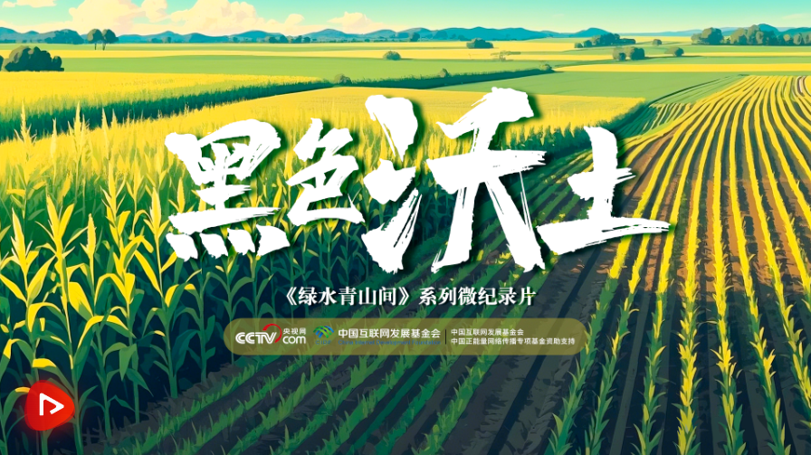 截图20250222083324