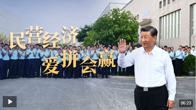 微信截图_20250223085554