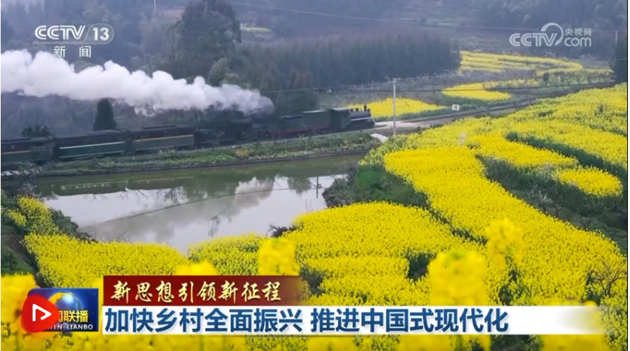 微信截图_20250223210509