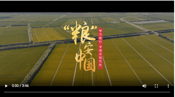 截图20250226090502