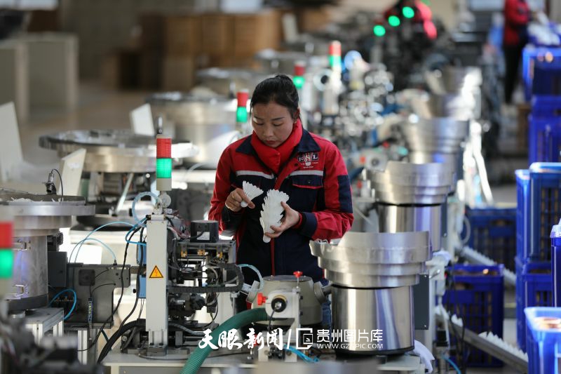 17411276986516.jpg 8.jpg