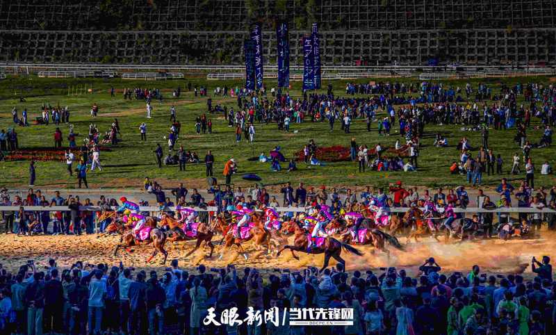 村马。朱文军 摄.jpg