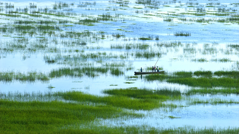5909-威宁草海春色杜军.jpg