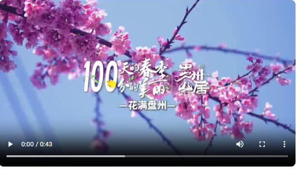 截图20250313194306