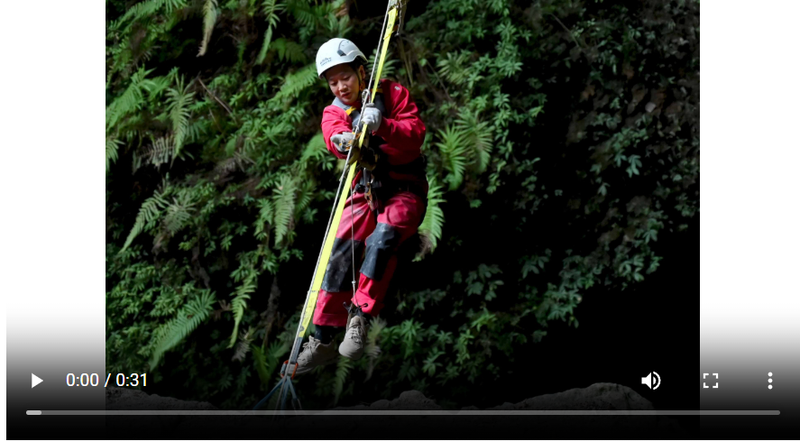 截图20250313194712