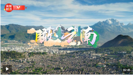 QQ截图20250320115630