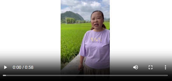 微信截图_20250401124030