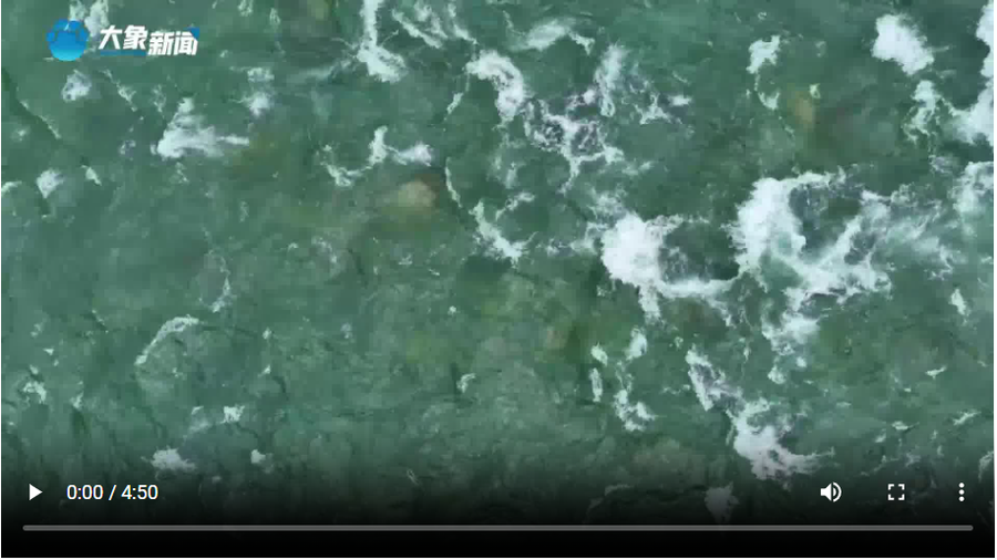 截图20250409112812