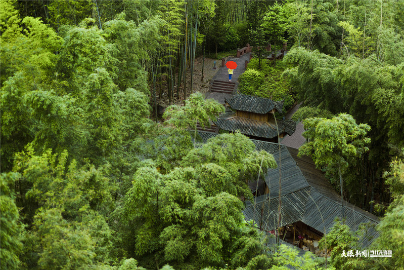 71208-赤水竹海.jpg