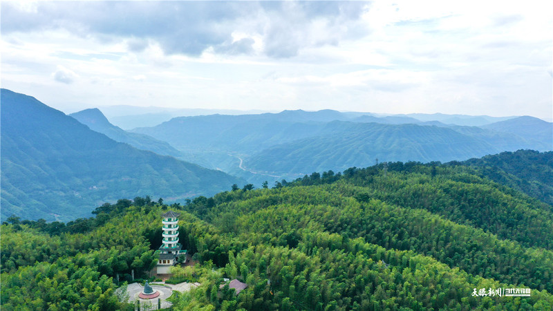 370711-赤水竹海国家森林公园（杨柳摄）.jpg