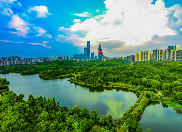 DJI_0054.JPG