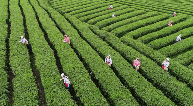 3e046256956a0771ffa606b59df2d787_17459456589358.gif
