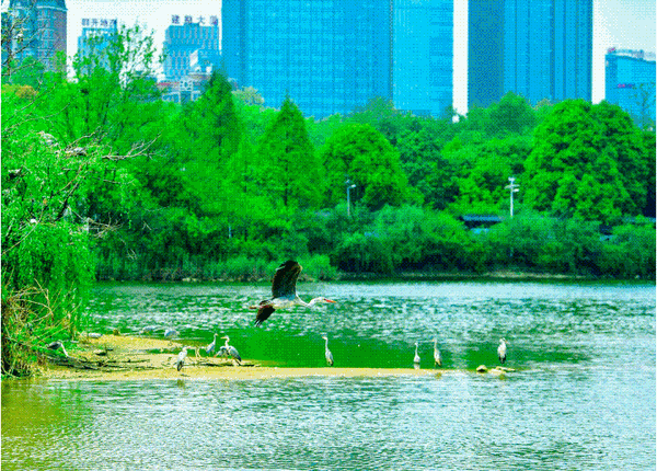 67aa8764640df57eeb103921d4e7f231_17459636848930.gif