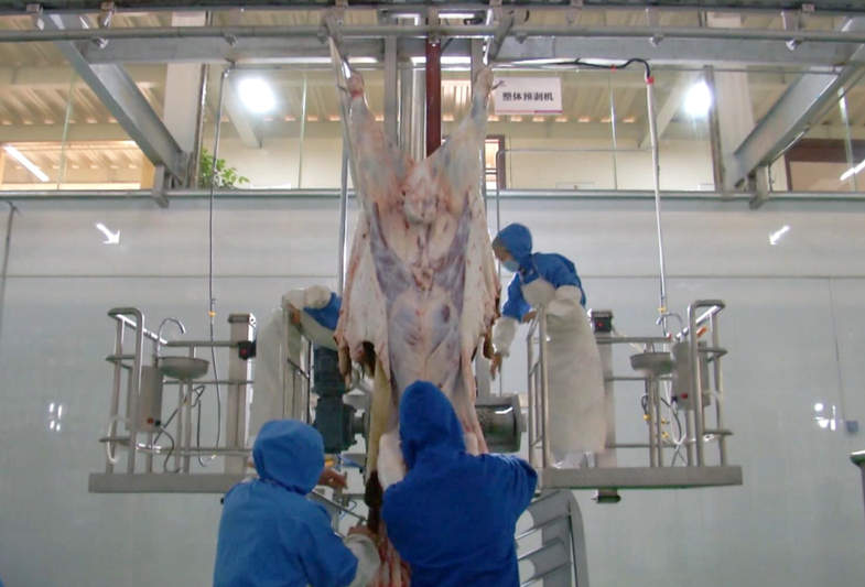 关岭国家现代农业产业园——关岭牛屠宰场.jpg