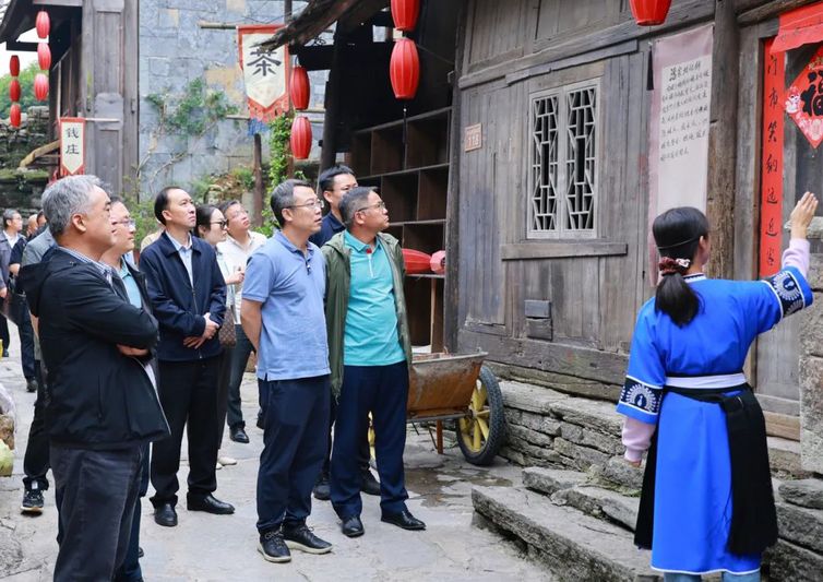 与会专家在云山屯调研.jpg