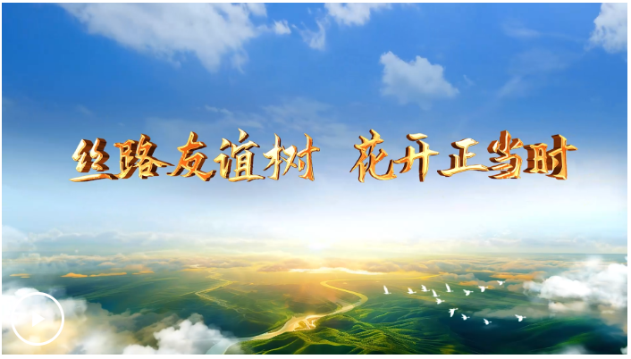 QQ截图20250612092722