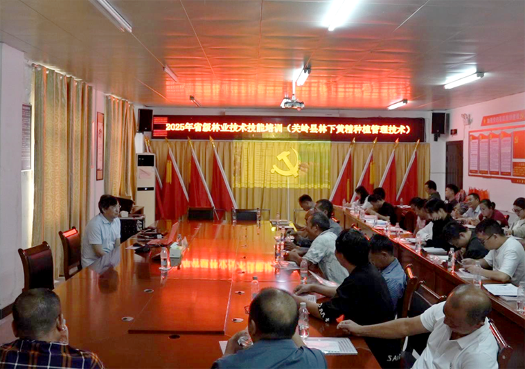 QQ截图20250623193115.png
