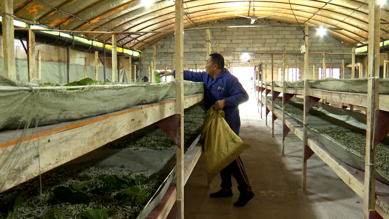 普定县天尚种养殖有限公司车间.png