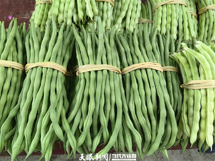 分拣好的棒豆。牟绍莉 摄.jpg