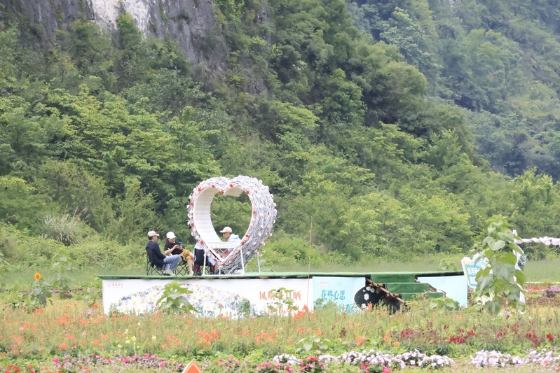 龙宫花之奇缘：以花为媒 绽放乡村振兴新图-FZ1002856611.JPG