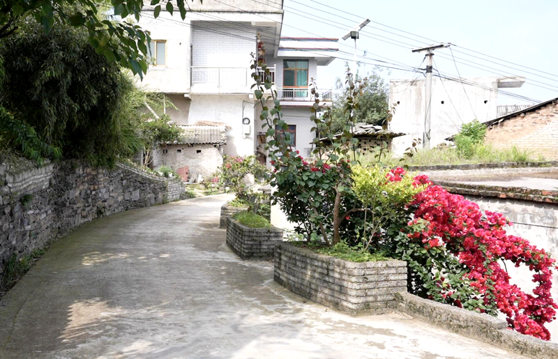 干净整洁的串户路-FZ1002856086.png