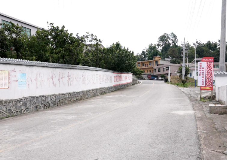 干净整洁的通村路-FZ1002856094.png
