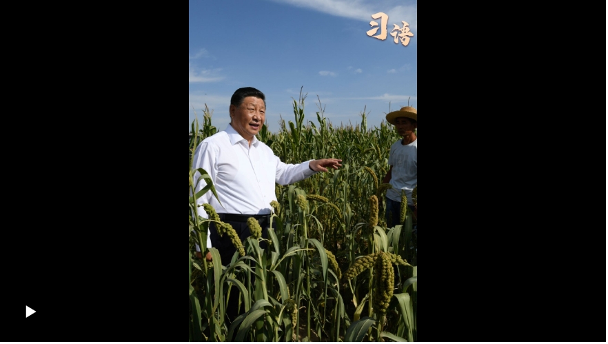 微信截图_20250626204726