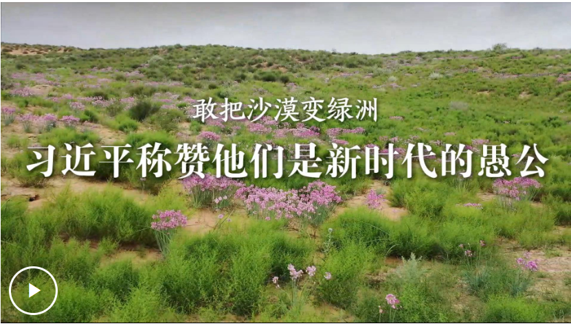 QQ截图20250629192911.png