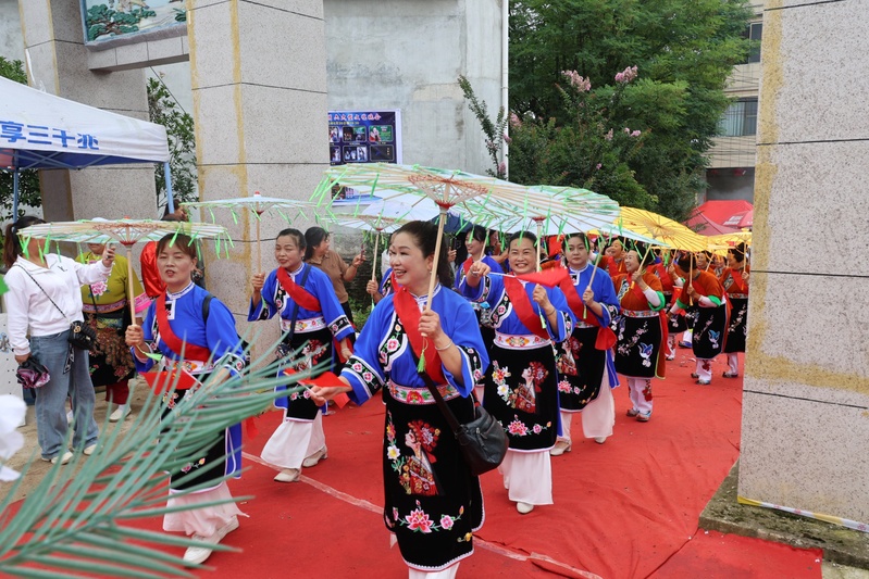 巡游中，关公神轿庄严前行，身着传统凤阳汉-FZ1002871983.JPG