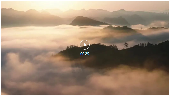 QQ截图20250707194648.png