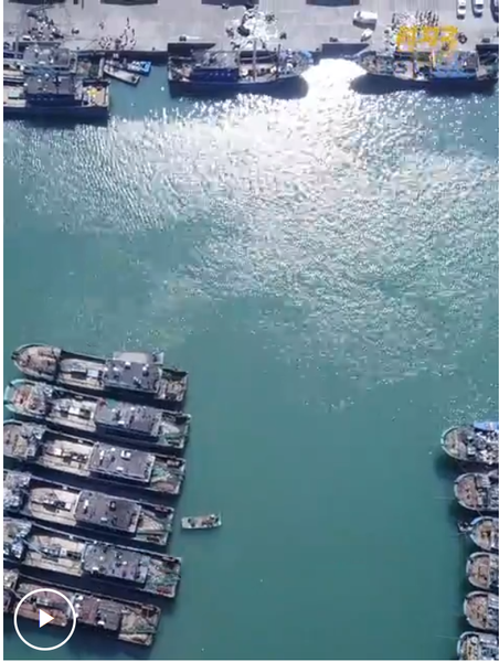截图20250712160653