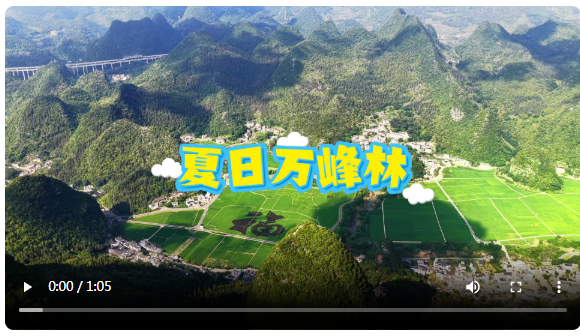 QQ截图20250714210050.png