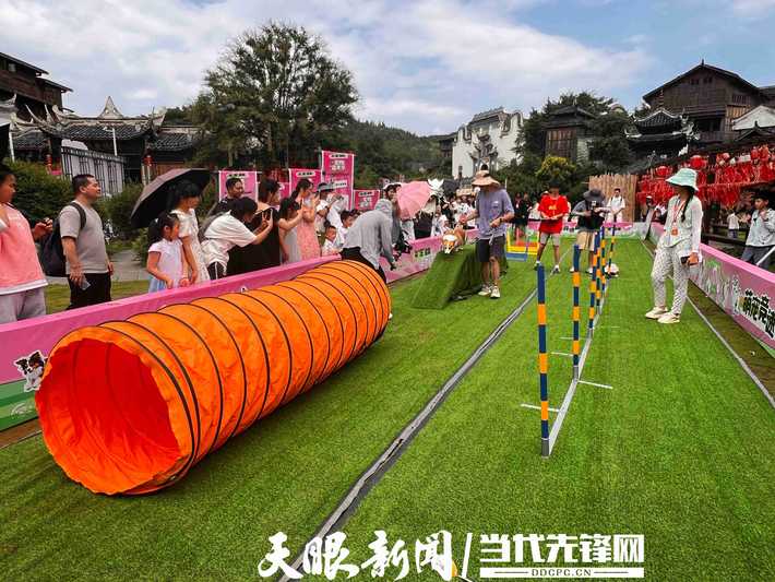 微信图片_20250713222105.jpg