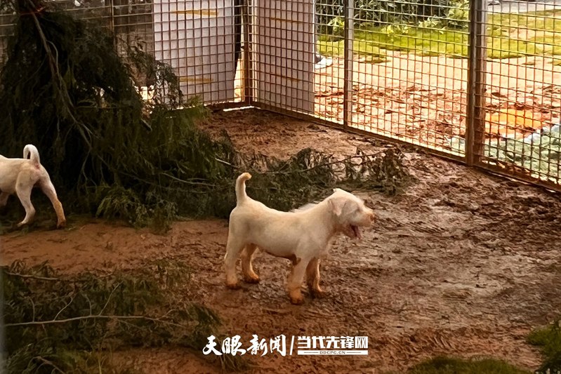 微信图片_20250713222047.jpg