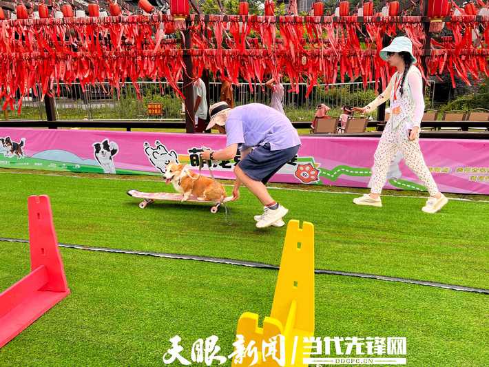 微信图片_20250713222102.jpg