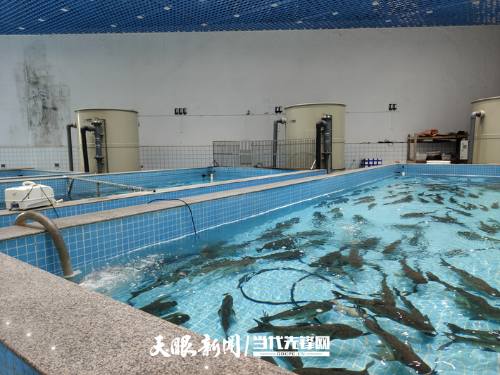 微信图片_20250801224357.png