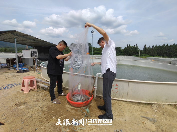 微信图片_20250801224539.png