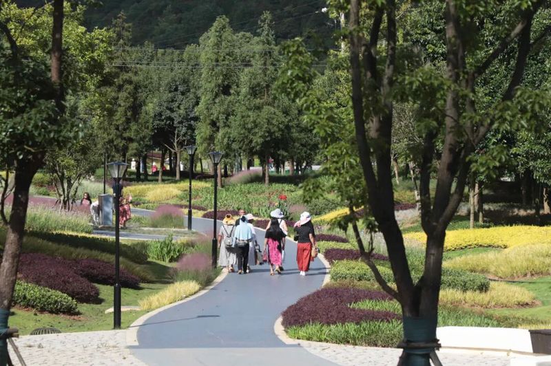 市民在公园休闲漫步1.jpg