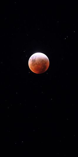 _O3A5314-FZ10021116087.jpg
