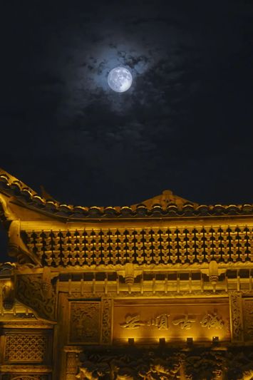 _O3A2594-FZ10021116091.jpg