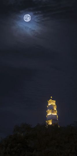 _O3A2614-FZ10021116109.jpg