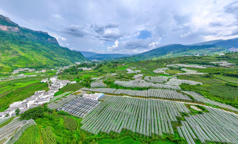 水城区国家现代农业产业园一隅。.jpg