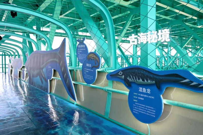大桥桥内观光通道科普走廊“古海秘境”-FZ10021196832.JPG